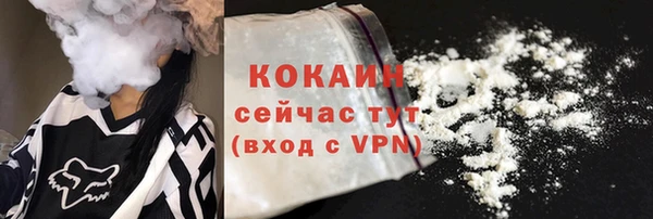 ГАЛЛЮЦИНОГЕННЫЕ ГРИБЫ Нея