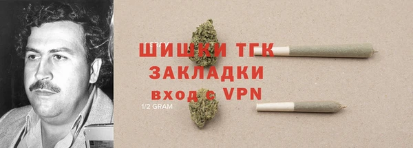 прущий лед Новозыбков