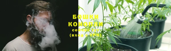 ГАЛЛЮЦИНОГЕННЫЕ ГРИБЫ Нея