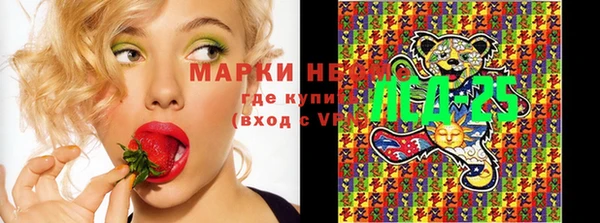 дживик Новокубанск