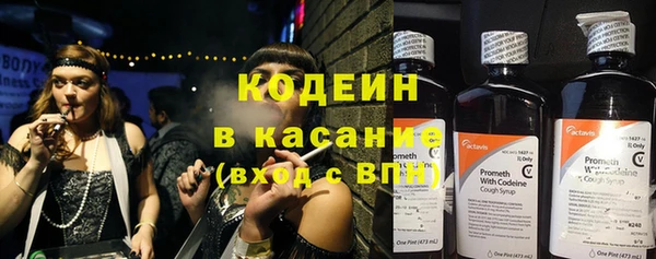 ГАЛЛЮЦИНОГЕННЫЕ ГРИБЫ Нея