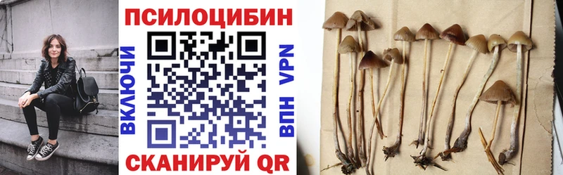 дарк нет как зайти  Хилок  Псилоцибиновые грибы мицелий  kraken ссылки 